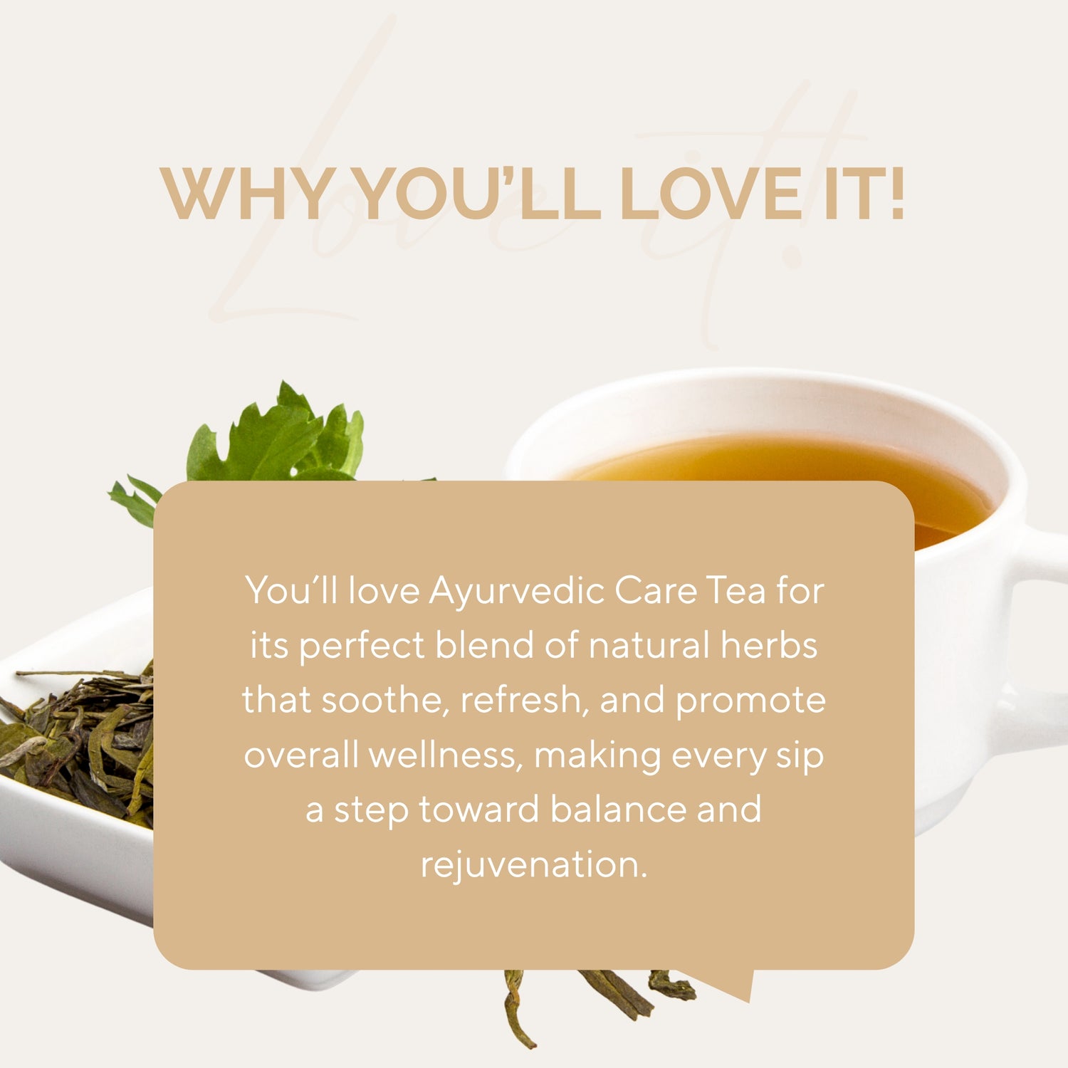 Teanatic Ayurvedic Care Tea